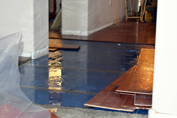 Professional Basement Flood Cleanup technician working in Fruitland, IA